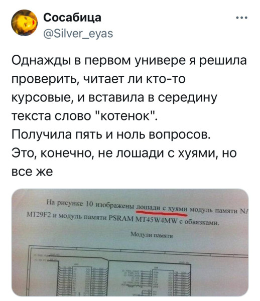 Мем: Как налить побольше воды в курсовую., henh Мем: Как налить побольше воды в курсовую., henh