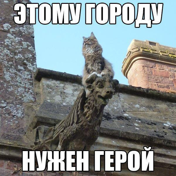 Мем: Приколы на день, iteam Мем: Приколы на день, iteam