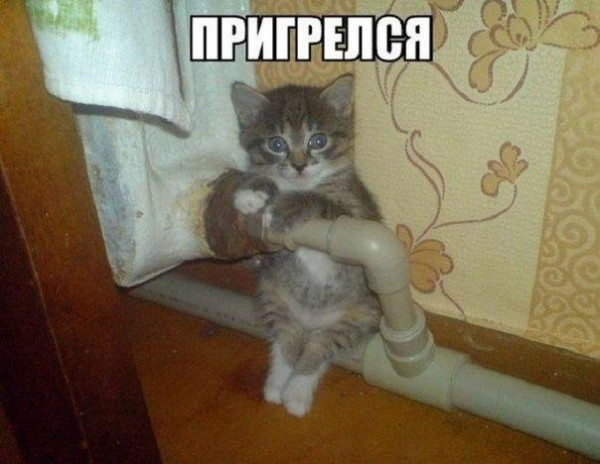 Мем: Приколы на день, iteam