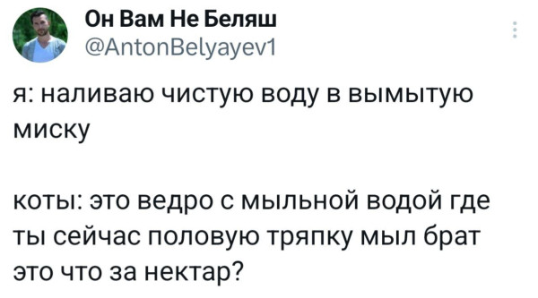 Мем, Смехалка