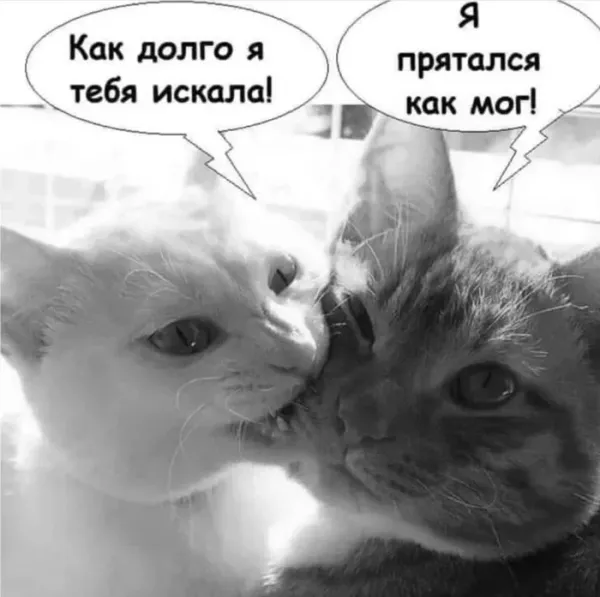 Мем, Смехалка