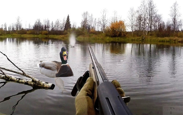 Мем: О том, как карась не дремал