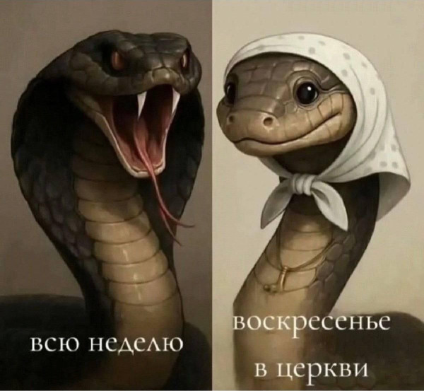 Мем, Ю