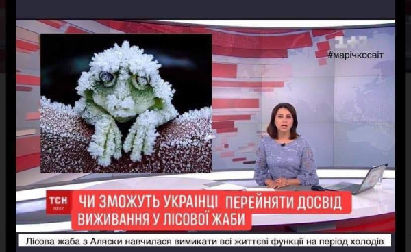 Мем: Европейские новости, Максим Камерер