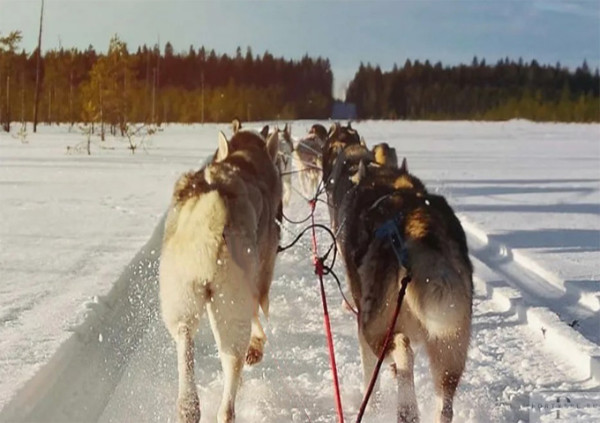 Мем: Картина мира