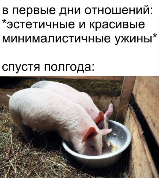 Мем, Кот Отморозкин