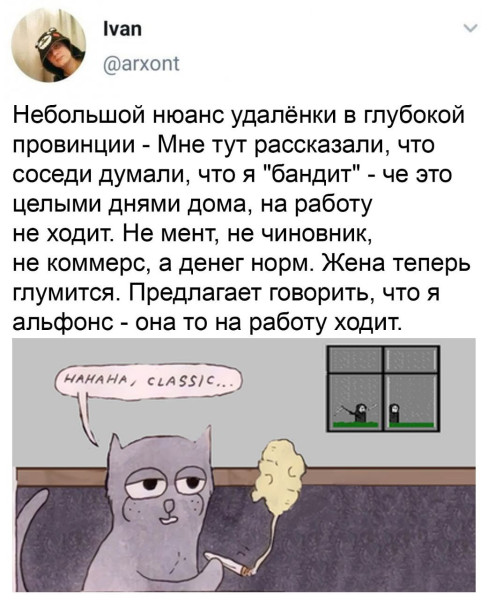 Мем: Удаленная работа с нюансом., henh