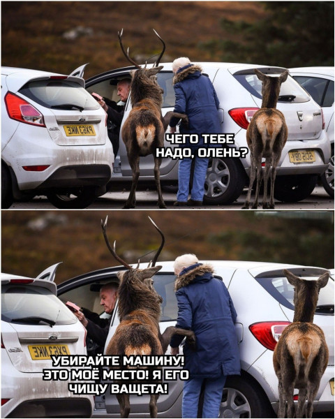 Мем: Скоро во всех дворах страны, henh