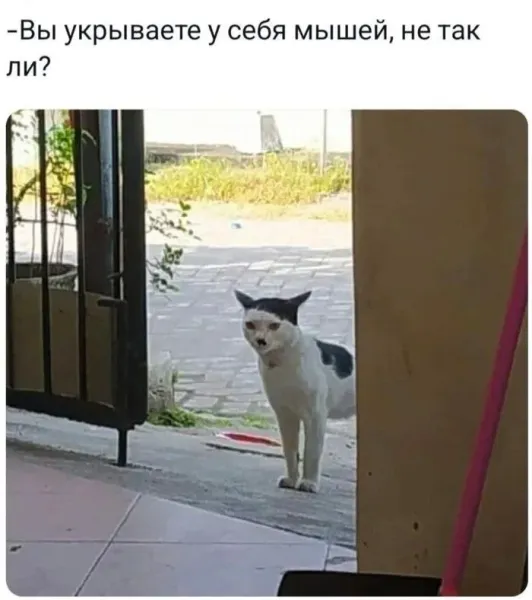 Мем, Смехалка