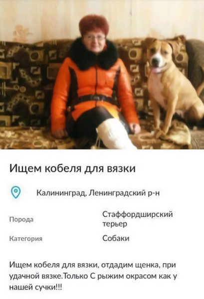 Мем, Смехалка