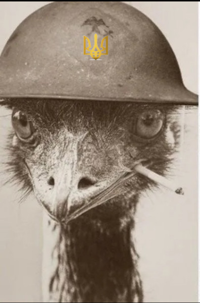 Мем, михельсон