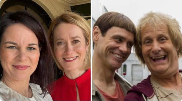 Мем: Тупой и ещё тупее, Правдоруб Адекват