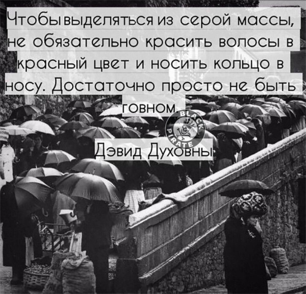 Мем, Максим Камерер