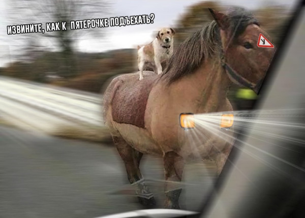 Мем, Кот Отморозкин