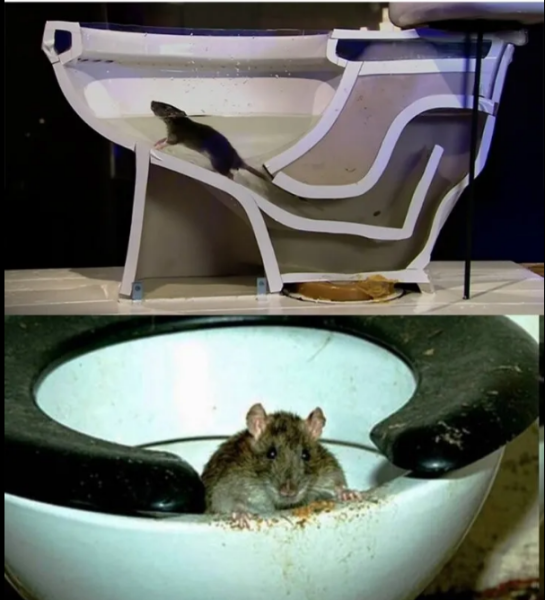 Мем, михельсон