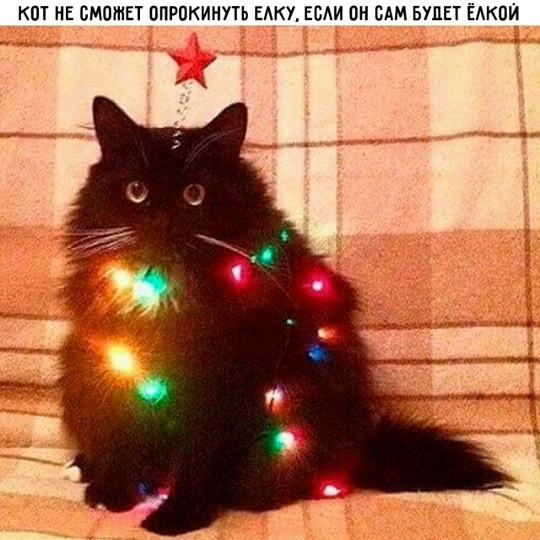 Мем, Смехалка