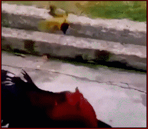 Мем: "Петух" - это характер!, Серж Скоров