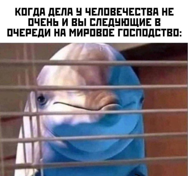 Мем