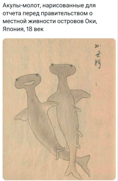 Мем: Ничего милее вы сегодня не увидите., henh