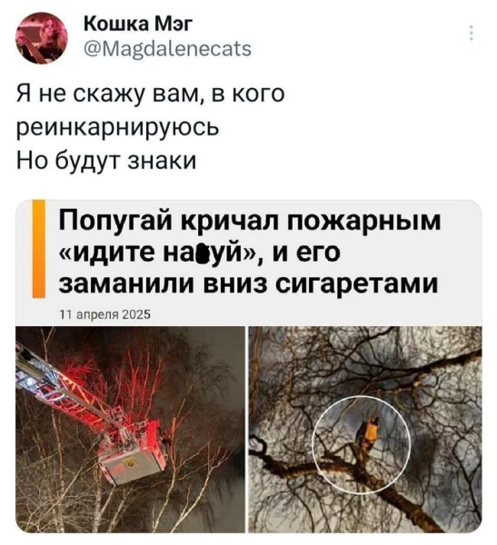 Мем, Смехалка