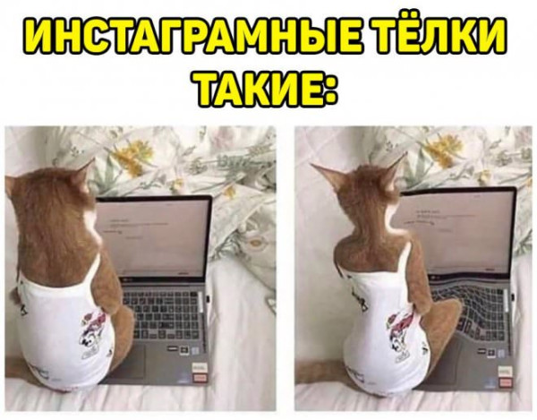 Мем, Смехалка