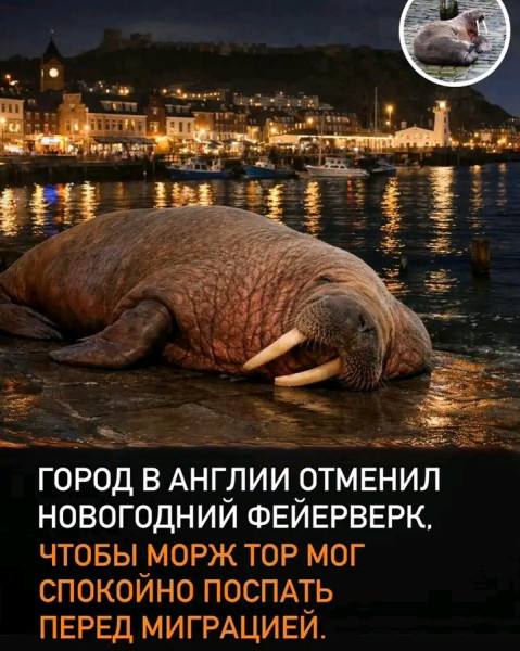 Мем, Оби Ван Киноби