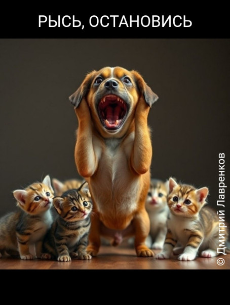 Мем, Дмитрий Лавренков