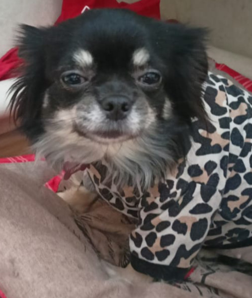 Мем: Таки шо, Юрычев Владислав