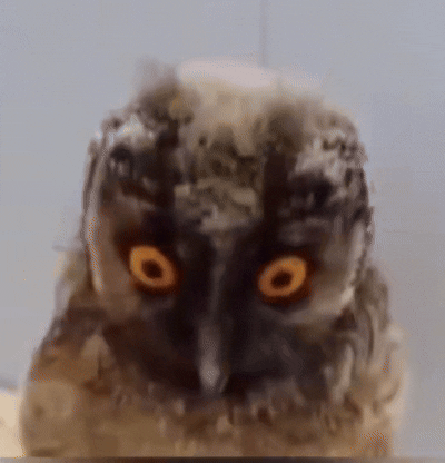 Мем: Когда смотришь на карту предновогодних пробок, Кэп2