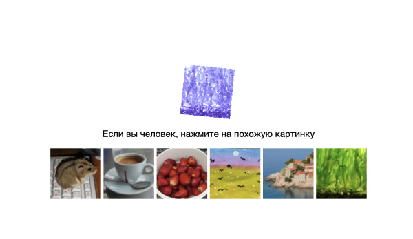 Мем: я не робот, Парацельс