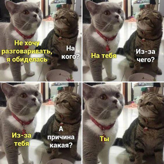 Мем, Смехалка