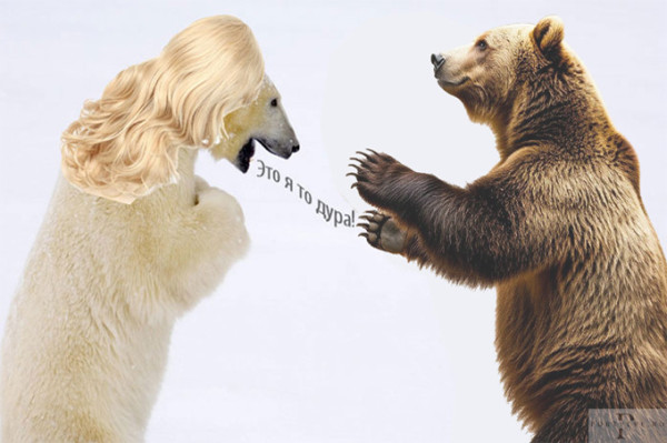 Мем: В день белого медведя