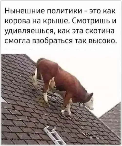 Мем, Смехалка