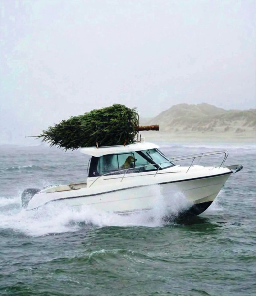 Мем, Ingrid Lovera