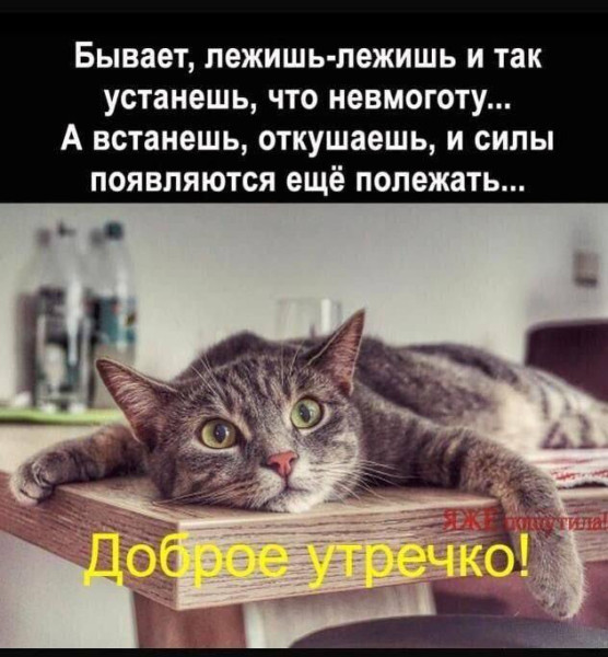 Мем, Смехалка