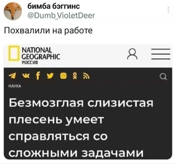 Мем, Смехалка