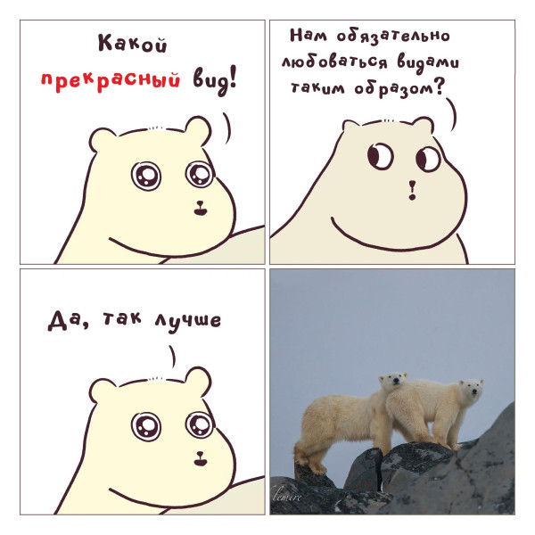Мем: Нет ничего удобнее⁠⁠., henh