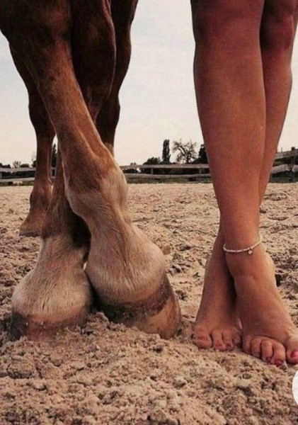 Мем, Ingrid Lovera