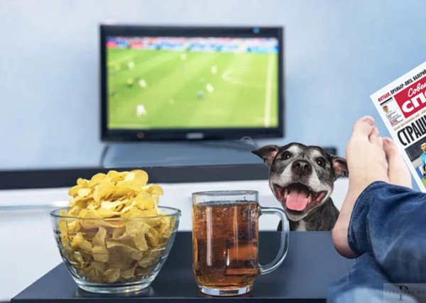 Мем: День лентяя Мем: День лентяя