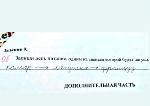 Мем, Ashmedai Мем, Ashmedai