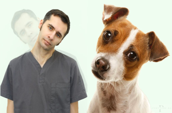 Мем: Прилежный ученик