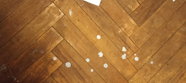 Мем: Капли кефира, lubar