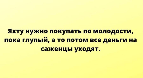 Мем, Tio Marcos Мем, Tio Marcos