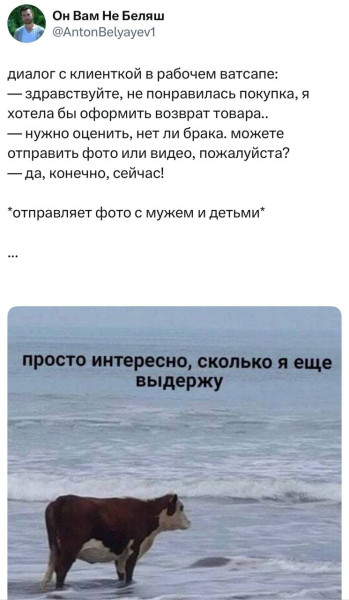 Мем: Брак есть., henh