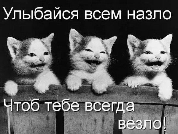 Мем, henh