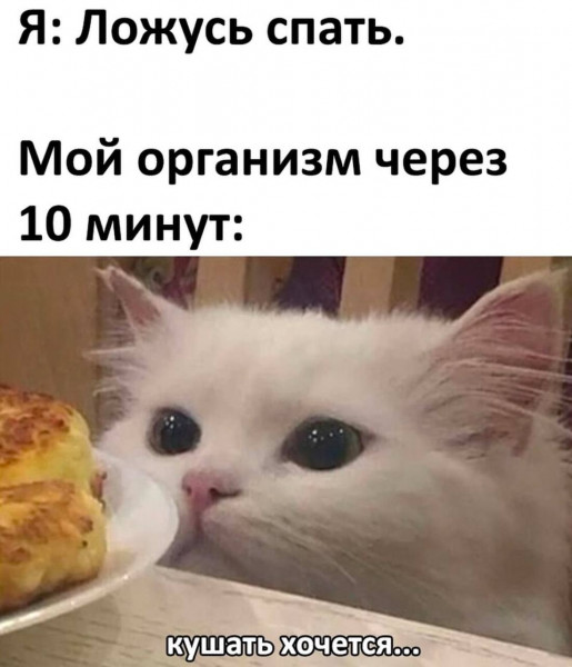Мем, henh
