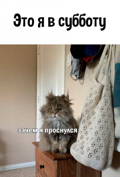 Мем, henh
