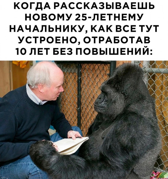 Мем, henh