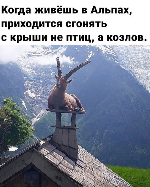 Мем