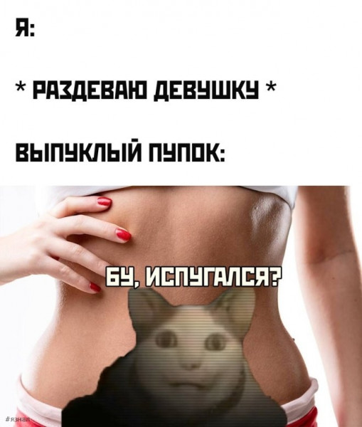 Мем: Мем дня, iteam